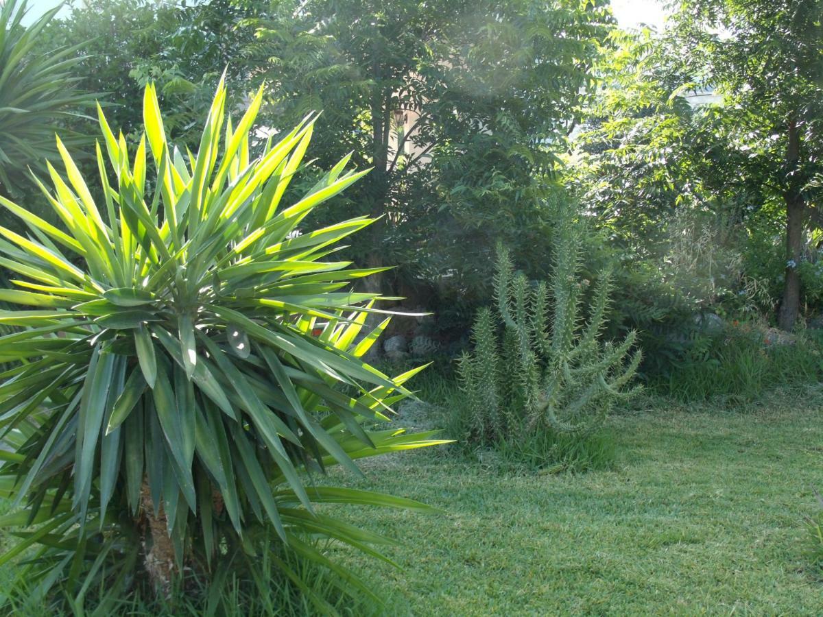 ألورا La Finca Blanca المظهر الخارجي الصورة
