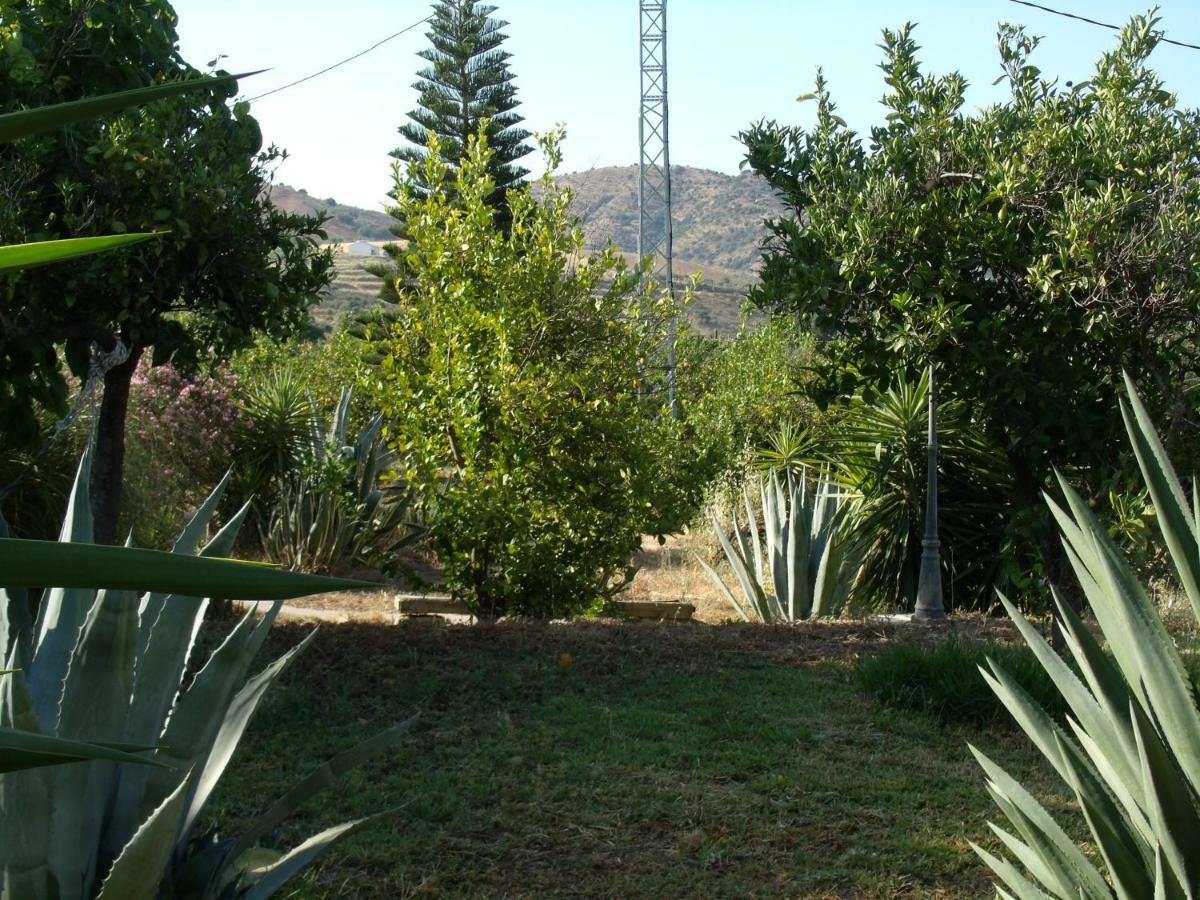 ألورا La Finca Blanca المظهر الخارجي الصورة