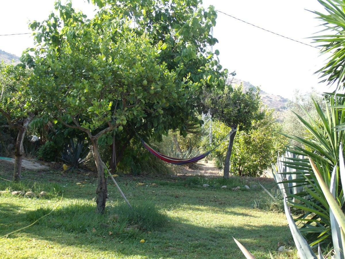 ألورا La Finca Blanca المظهر الخارجي الصورة
